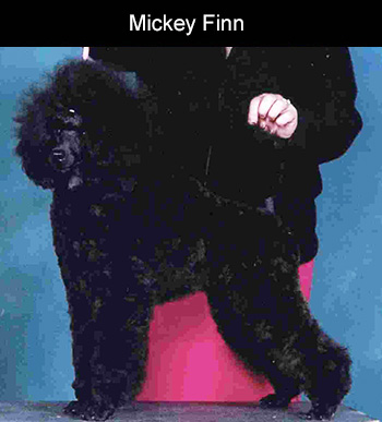 Mickey Finn